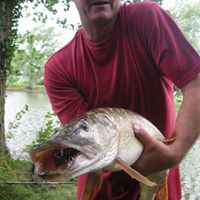 Russell Harrison Photo 16