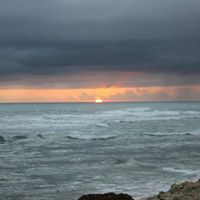 Julie Farris Photo 24