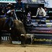 Dustin Proctor Photo 17
