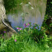 Ellen Flowers Photo 18