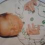 Elliot Knowles Photo 2