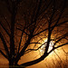 Hope Boudreau Photo 5