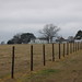 Mary Frey Photo 16