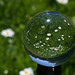 Crystal May Photo 14