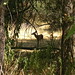 Christine Doe Photo 15