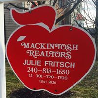 Julie Fritsch Photo 16