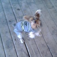 Barbara Blough Photo 9