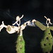 Nam Do Photo 25