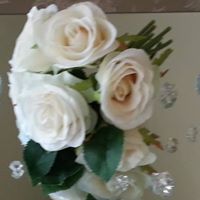 Ann Cross Photo 10