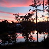 Karen Gates Photo 28