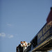 John Craig Photo 19