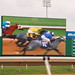 Sam Houston Photo 21