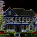 Virginia Black Photo 19