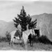 Doris Pearson Photo 18