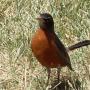 Lee Richards Photo 27