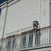 Gary Capps Photo 9