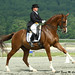 Susan Chestnut Photo 8