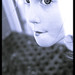 Lisa Robillard Photo 13