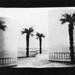 Ruth Thorne Photo 31
