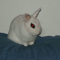 Michael Slott Photo 19
