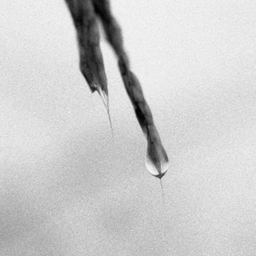 Henry Liu Photo 51
