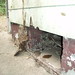 Trenton Carpenter Photo 7