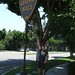 Beverly Bell Photo 14