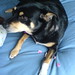 Kay Mccoy Photo 11