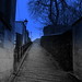 Allan Burton Photo 10