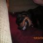 Linda Duffy Photo 43