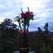 Allyson Lyons Photo 11