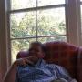 Thomas Steele Photo 46