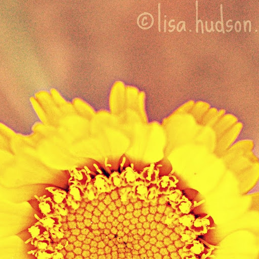 Lisa Hudson Photo 35