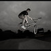 Todd Hart Photo 19