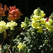 Janine Caldwell Photo 22