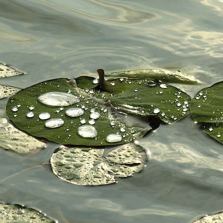 Anne Smithson Photo 12