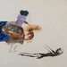 Marianne Haas Photo 3