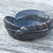 Raven Clay Photo 9