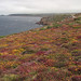 Heather Land Photo 18