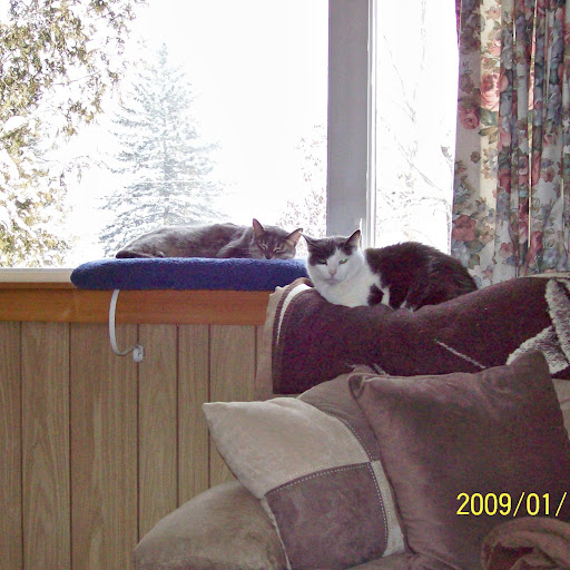 Cindy Messer Photo 30