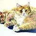 Deborah Strong Photo 18