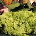Martha Rice Photo 8