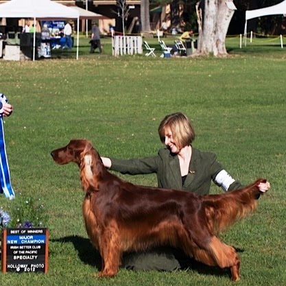 Laura Root Photo 38