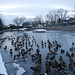 Stephen Cheney Photo 12