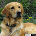 Spring Bailey Photo 5