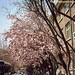 Jin Xue Photo 17