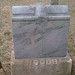 Allen Woods Photo 15