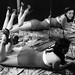 Janine Graham Photo 31