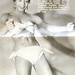 Katherine Taylor Photo 39