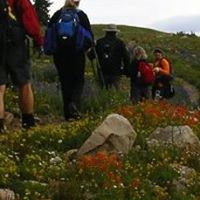 Melissa Mcallister Photo 17